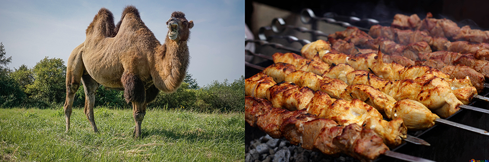 camelCase or kebab-case